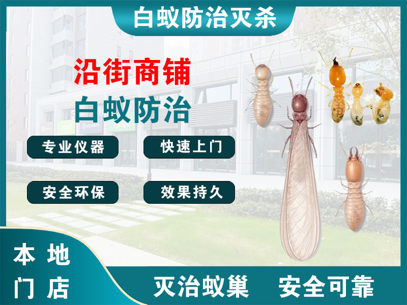 柯城沿街商铺白蚁防治