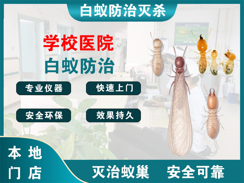 柯城学校医院白蚁防治