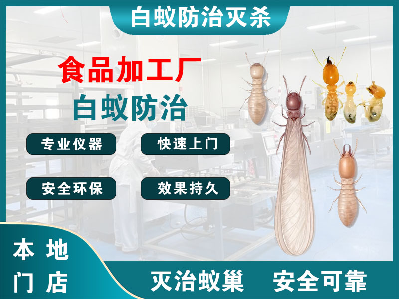 柯城食品加工厂白蚁防治