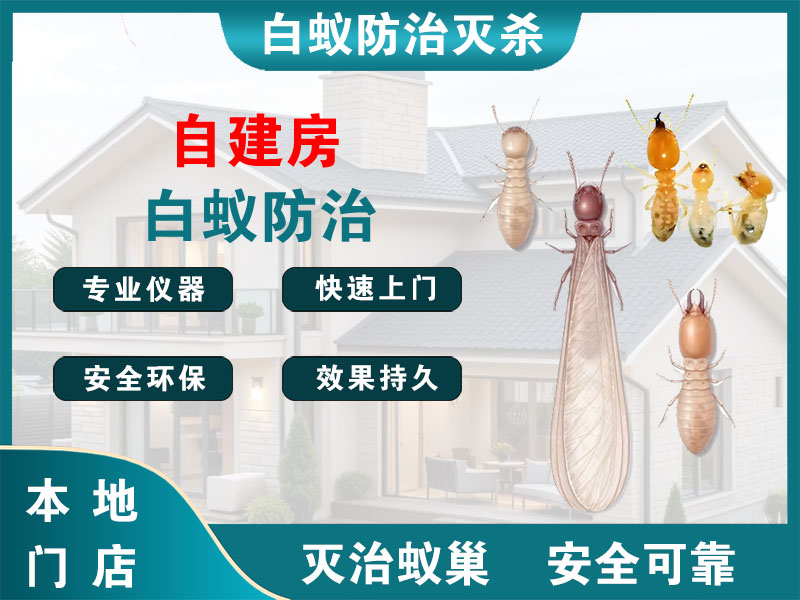 柯城自建房白蚁防治